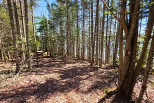 170 Ocean View Rd, Jonesboro, ME 04648 - Photo 50