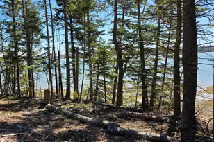 170 Ocean View Rd, Jonesboro, ME 04648 - Photo 52