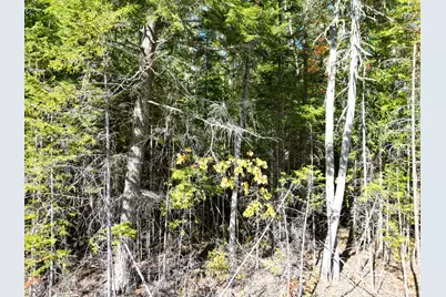 Lot 14 Whitetail Way, Lowell, ME 04493 - Photo 26