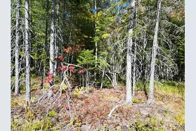 Lot 14 Whitetail Way, Lowell, ME 04493 - Photo 24