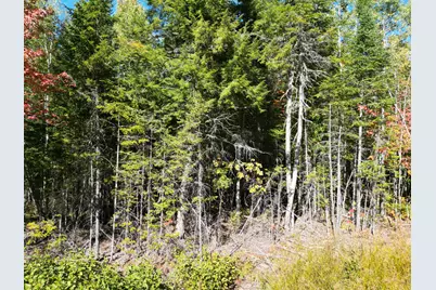 Lot 14 Whitetail Way, Lowell, ME 04493 - Photo 6