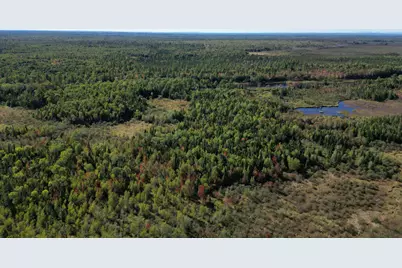 Lot 14 Whitetail Way, Lowell, ME 04493 - Photo 16