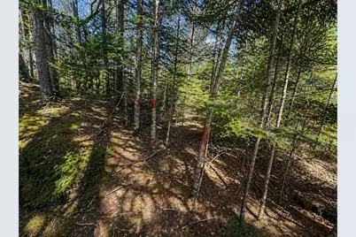 M1978L142D Love Lake Road, Crawford, ME 04694 - Photo 14