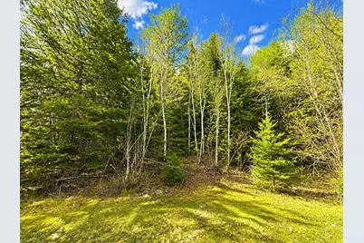 M1978L142D Love Lake Road, Crawford, ME 04694 - Photo 16
