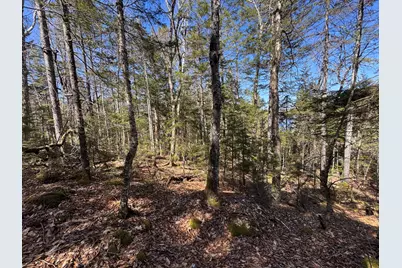 Lot 117N Long Lake Road, Wesley, ME 04686 - Photo 30