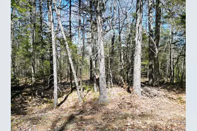 Lot 117N Long Lake Road, Wesley, ME 04686 - Photo 14