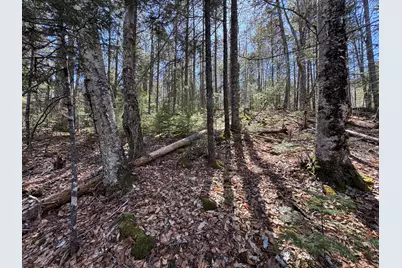 Lot 117N Long Lake Road, Wesley, ME 04686 - Photo 12