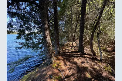 Lot 117N Long Lake Road, Wesley, ME 04686 - Photo 4