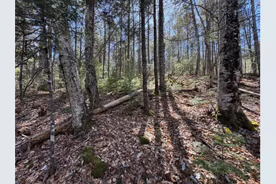 Lot 117N Long Lake Road, Wesley, ME 04686 - Photo 8