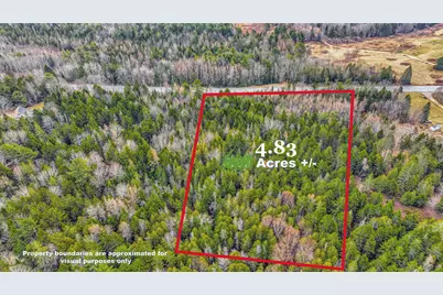 0 Swamp Road, Gouldsboro, ME 04607 - Photo 6