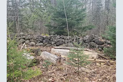 469 Norton Hill Road, Strong, ME 04983 - Photo 74