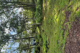 133 Lake Rd, Norway, ME 04268 - Photo 68