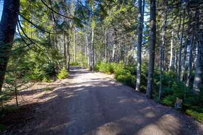 Lot 17 Wilderness Shore Road S, Steuben, ME 04680 - Photo 12