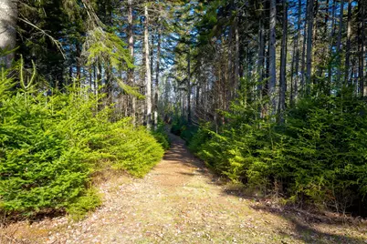 Lot 17 Wilderness Shore Road S, Steuben, ME 04680 - Photo 10