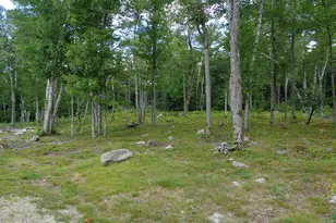 940 Macomber Mill Rd, Eastbrook, ME 04634 - Photo 46