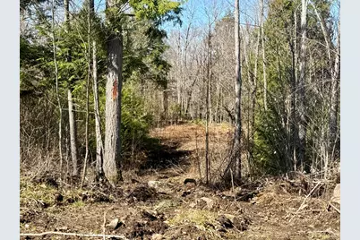 Map8Lot53B Buckfield Road, Paris, ME 04271 - Photo 6