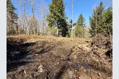 Map8Lot53B Buckfield Road, Paris, ME 04271 - Photo 4