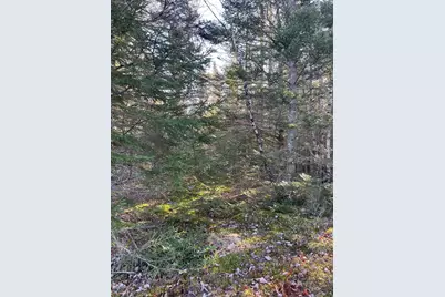 47/48D Duck Cove Road Road, Roque Bluffs, ME 04654 - Photo 10