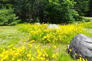 73 Taunton Bay Shores Rd, Franklin, ME 04634 - Photo 38