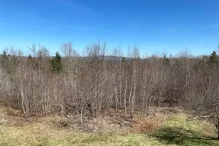 20 Bean Hill, Harmony, ME 04942 - Photo 38