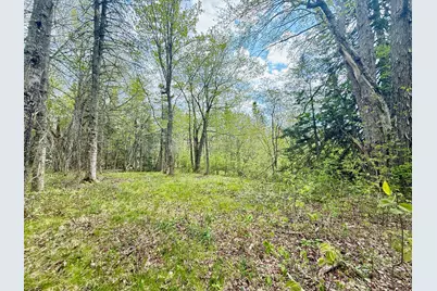 Lot 5-3 East Palmer Road, Machiasport, ME 04655 - Photo 4