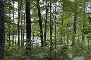 M 7 L 5-5 Blandings Ln, Shapleigh, ME 04076 - Photo 1