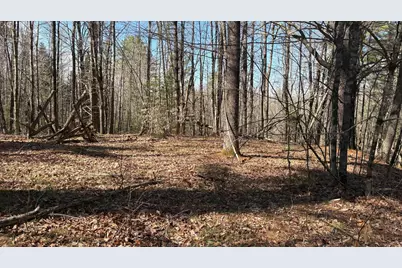 13 Mayhew Road, Starks, ME 04911 - Photo 2