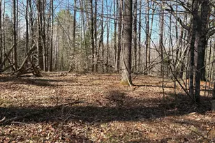 13 Mayhew Rd, Starks, ME 04911 - Photo 2