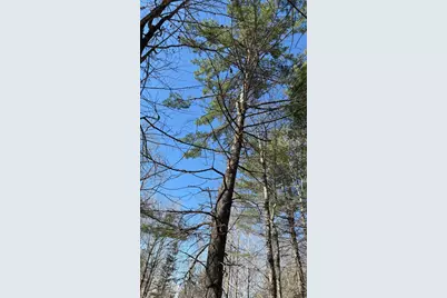 13 Mayhew Road, Starks, ME 04911 - Photo 20