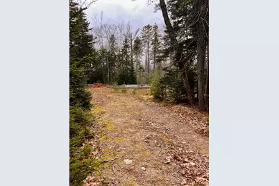 34 Bunchberry Lane, Bristol, ME 04539 - Photo 2