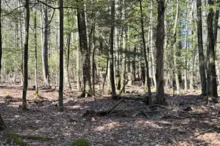 218 Plummer Rd, Richmond, ME 04357 - Photo 28
