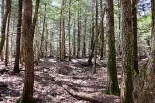 218 Plummer Rd, Richmond, ME 04357 - Photo 22