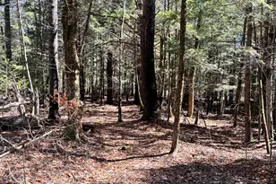 218 Plummer Rd, Richmond, ME 04357 - Photo 30