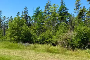 29 Hidden Dr, Vinalhaven, ME 04863 - Photo 28