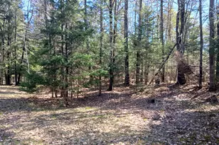 371 Carding Machine Rd, Bowdoinham, ME 04008 - Photo 2