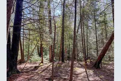 M92L2-1 Route 1A, Ellsworth, ME 04605 - Photo 12