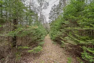 394 Frenchs Mills Rd, Sangerville, ME 04479 - Photo 96