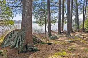 186 Long Point Way, Orland, ME 04472 - Photo 16