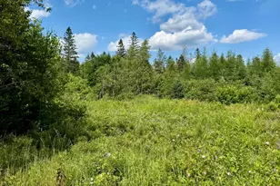 [Address not provided], Addison, ME 04606 - Photo 12