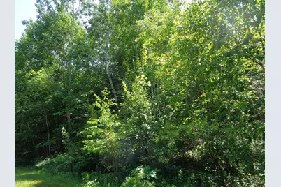 Lot20-20 Bailey Mountain Road, Franklin, ME 04634 - Photo 6
