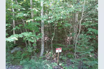 Lot 1 Bailey Mountain Road, Franklin, ME 04634 - Photo 1