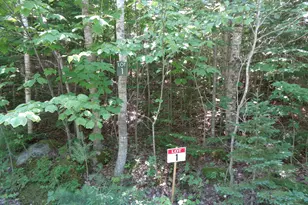 Lot 1 Bailey Mountain Rd, Franklin, ME 04634 - Photo 1