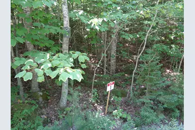 Lot 1 Bailey Mountain Road, Franklin, ME 04634 - Photo 2