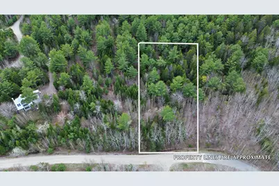 Lot 1 Bailey Mountain Road, Franklin, ME 04634 - Photo 4