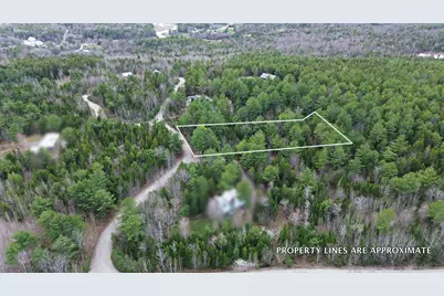 Lot 4 Bailey Mountain Road, Franklin, ME 04634 - Photo 8