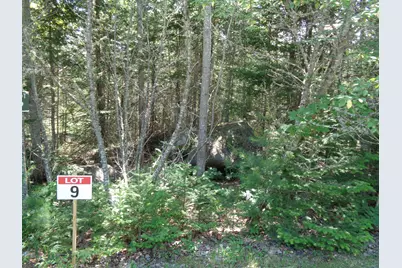 Lot 9 Bailey Mountain Road, Franklin, ME 04634 - Photo 14