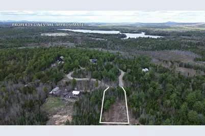 Lot 9 Bailey Mountain Road, Franklin, ME 04634 - Photo 4