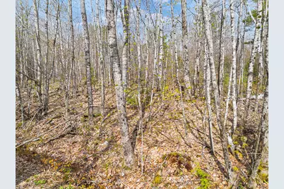 501 Noyes Road, Waldoboro, ME 04572 - Photo 10