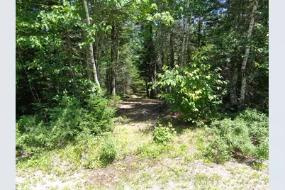 Lot 11 Bailey Mountain Road, Franklin, ME 04634 - Photo 6