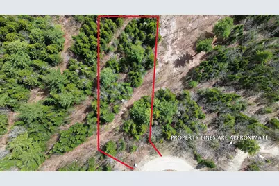 Lot 11 Bailey Mountain Road, Franklin, ME 04634 - Photo 10